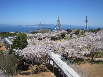 中尾山展望台からの景色