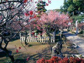 宮ノ陣神社
